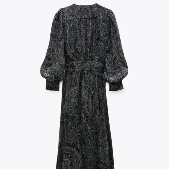 Zara Limited Edition Long Printed Dress - Picture 8 of 13